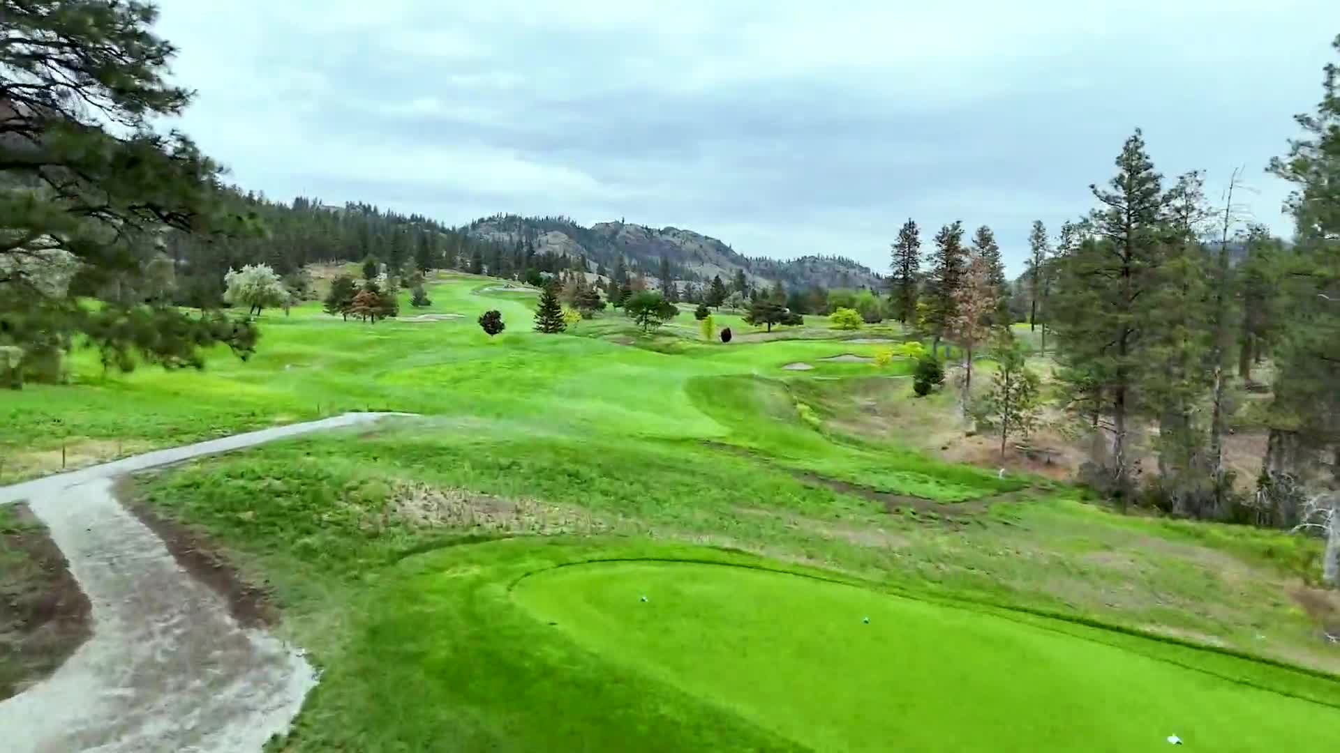 Fairview Mountain — The Champion